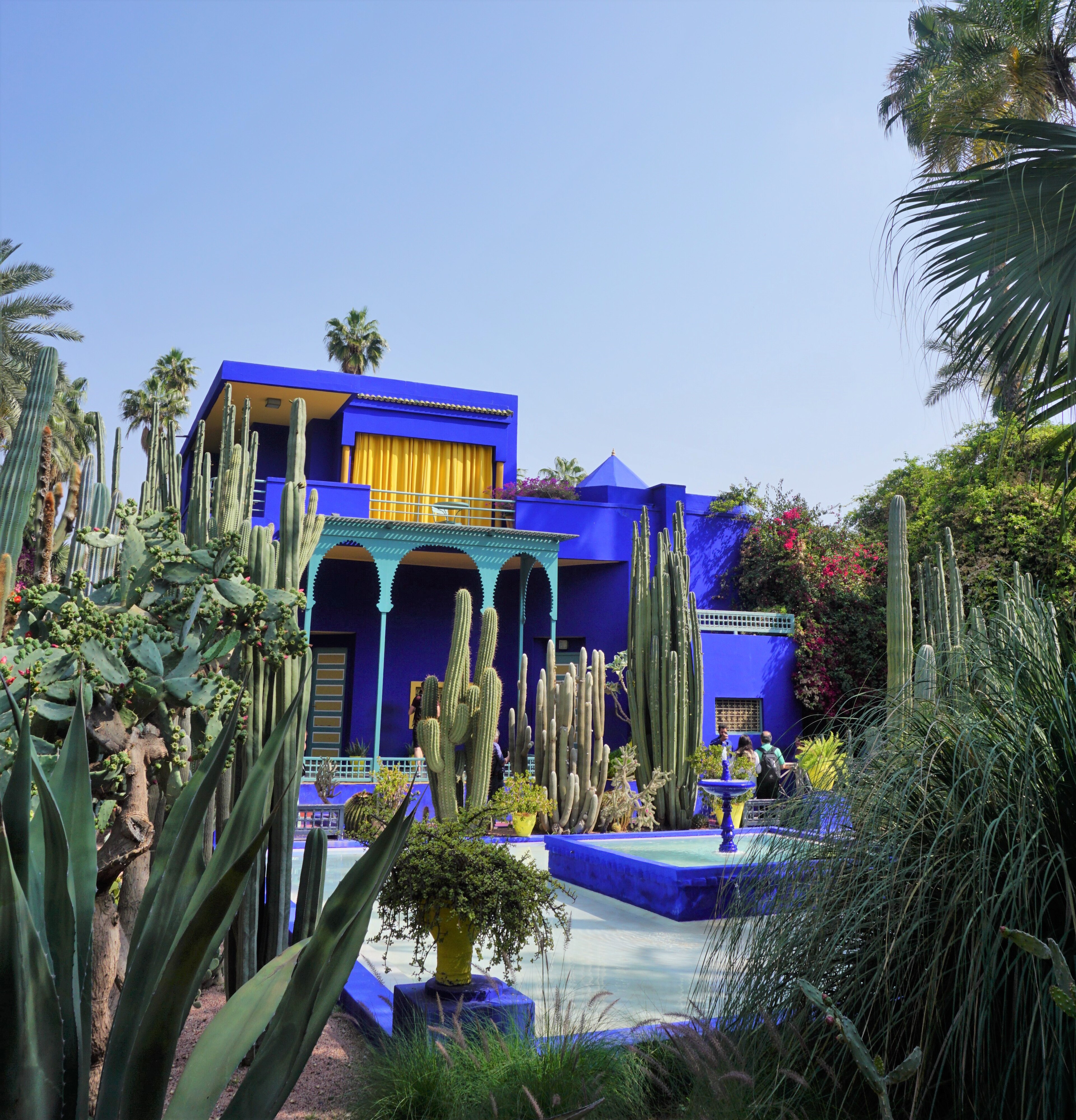 Majorelle Garden: dense cacti and agave frame a saturated cobalt-blue Cubist villa, a lemon-yellow curtain hangs in the upper-floor window, mint-green carved columns line the ground floor above a blue pool, lemon-yellow ceramic pots punctuate the scene, and hot-pink bougainvillea spills over the wall on the right