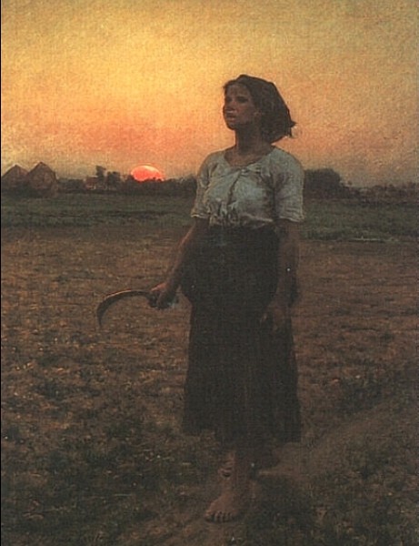 A barefoot field worker pauses in a field at sunrise